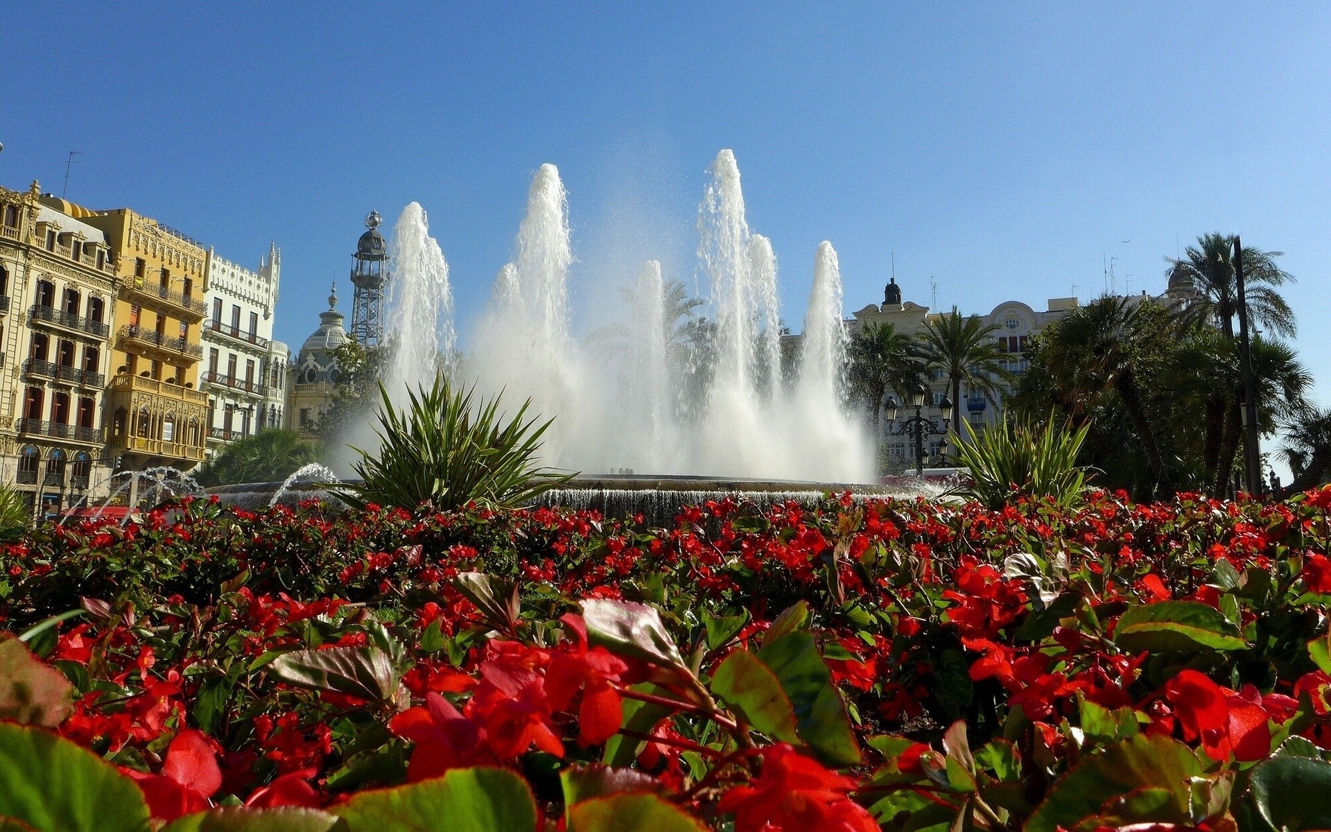 spanien begonien blumenbeet blumen brunnen valencia