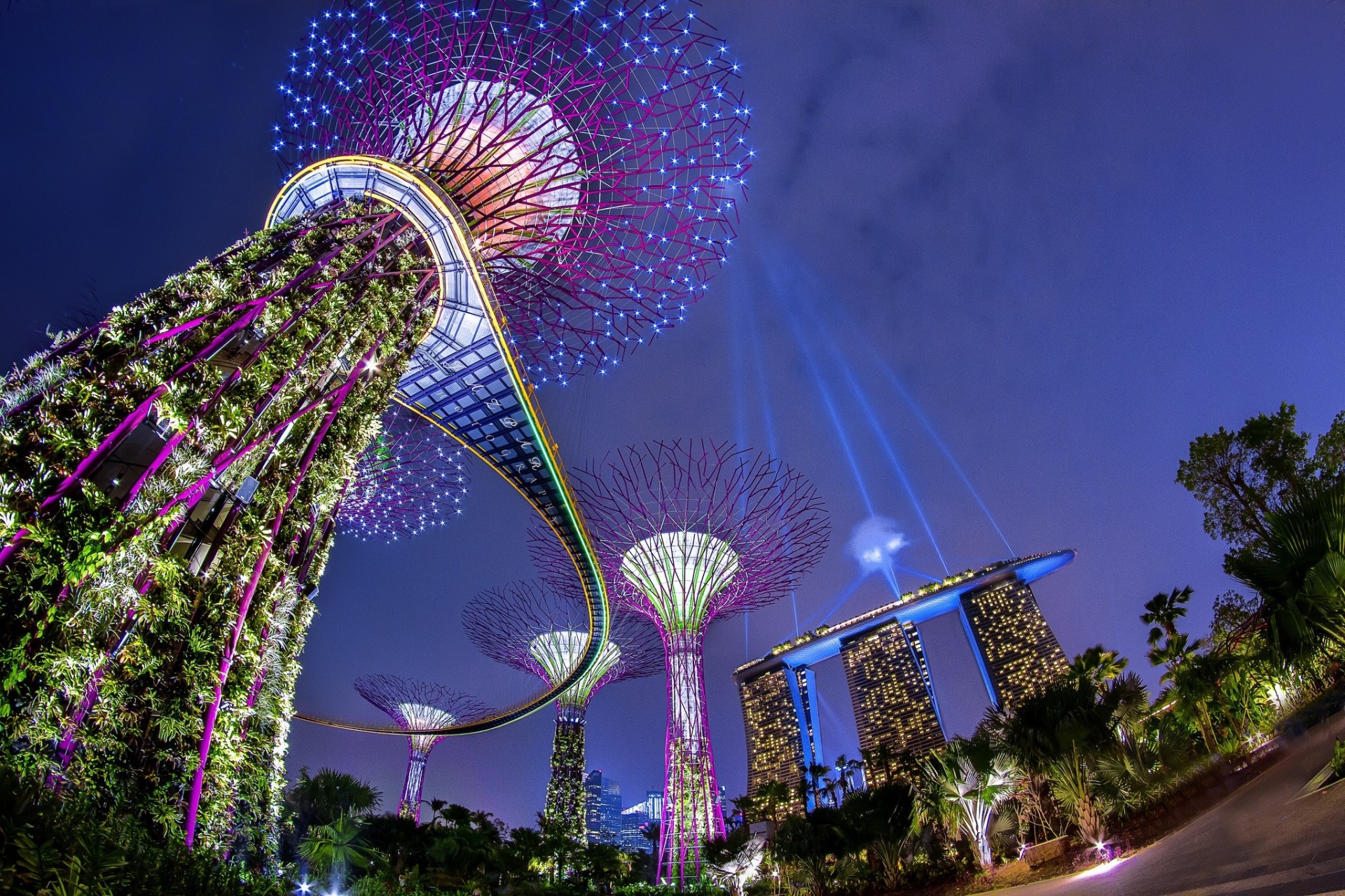 огни подсветка ночь сингапур парк marina bay архитектура marina bay sands сад