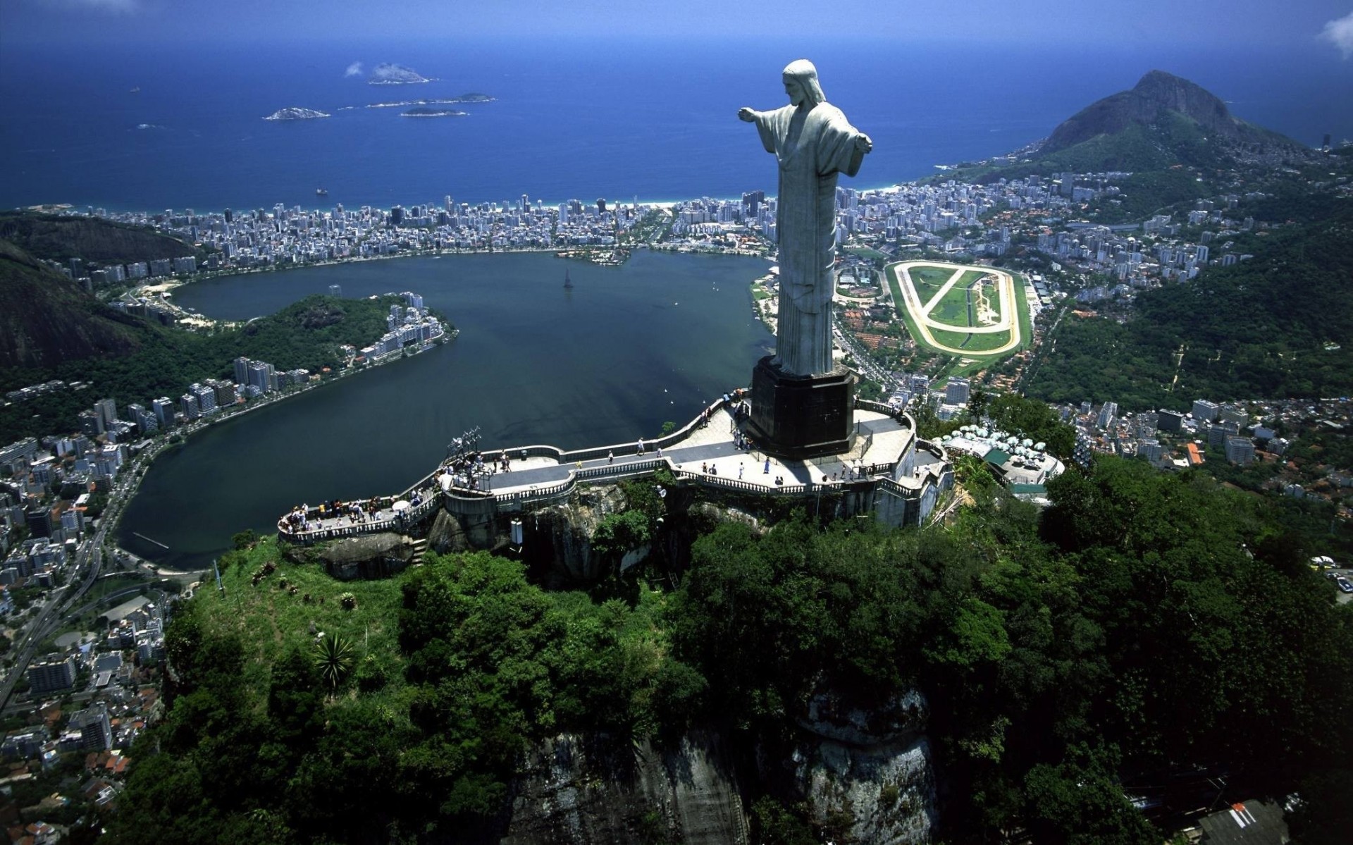 arbre bleu brésil eau mer rio de janeiro ville