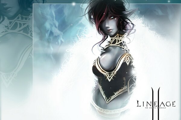 Computerplakat des Spiels lineage2