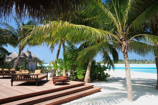 Plage de sable chaud et de palmiers