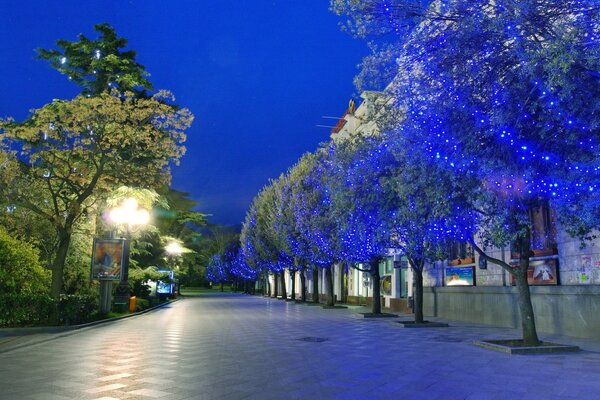 Parco serale con postazione blu