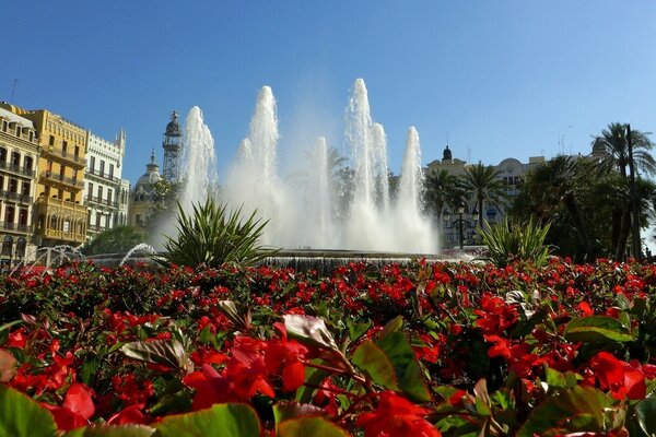 Belle fontaine derrière les fleurs rouge vif