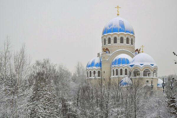 Купола Православного храма зимой