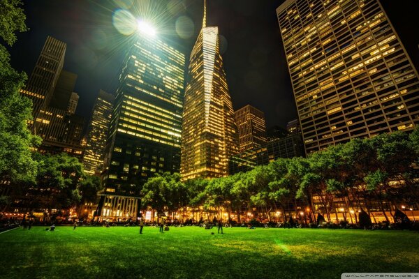 A park in New York with a skyscraper at night