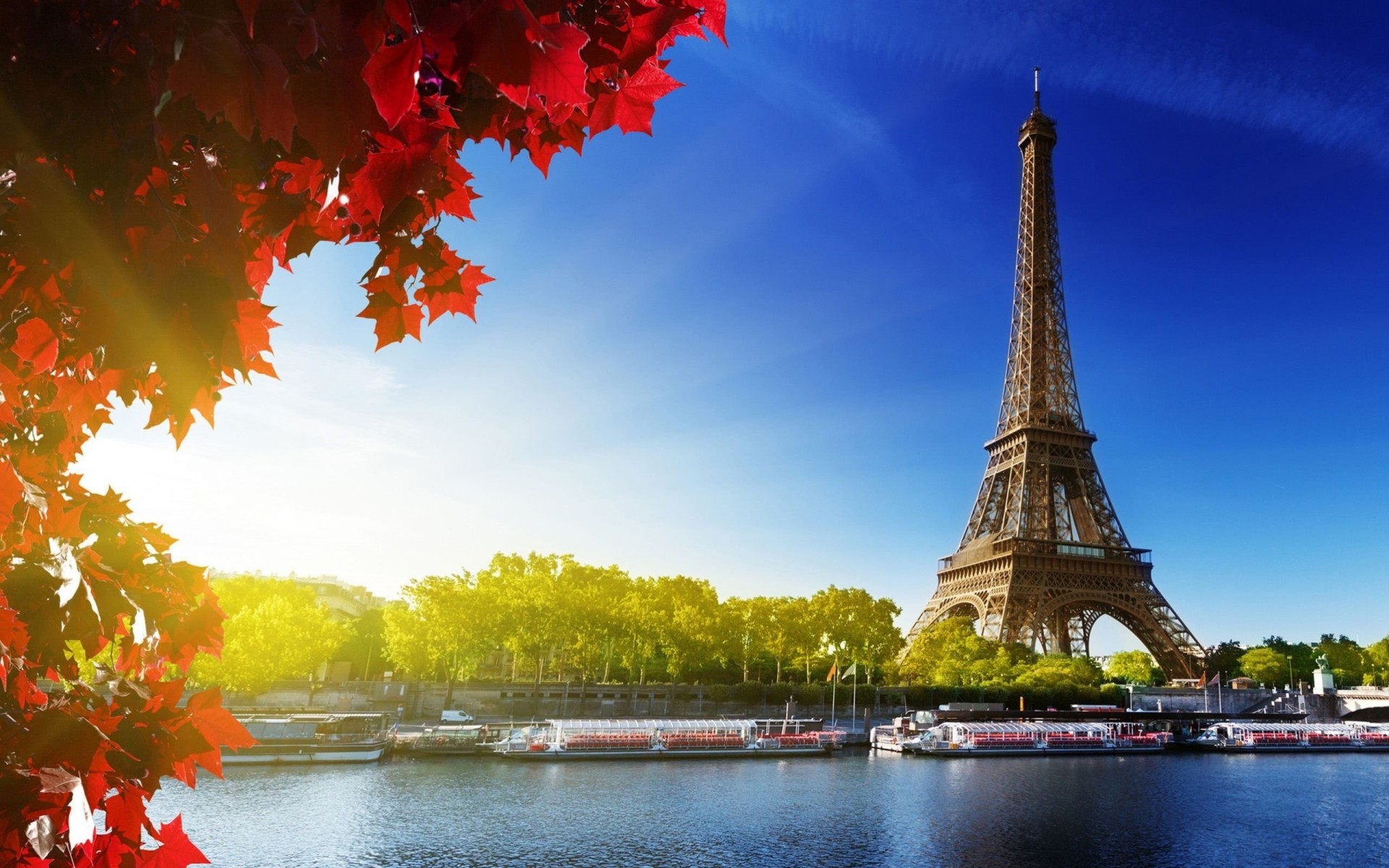 qatar airways parigi foglia autunno fotografia torre eiffel