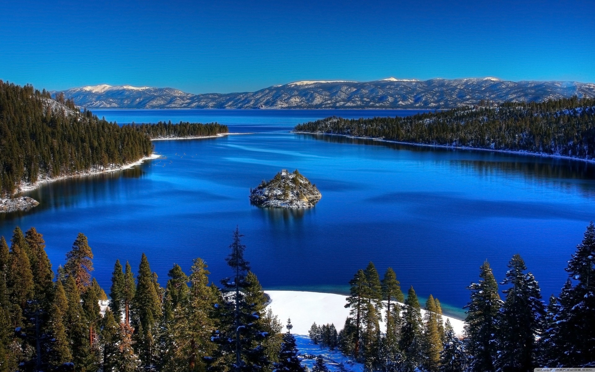 калифорния озеро тахо пальмы лес голубой гора зима