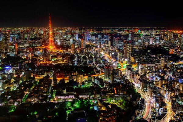 Tokyo at night. Top view. Skyscrapers