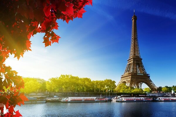 Autumn leaves on the background of the Eiffel Tower