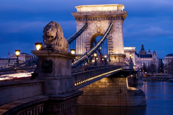 Le pont des lions en Hongrie