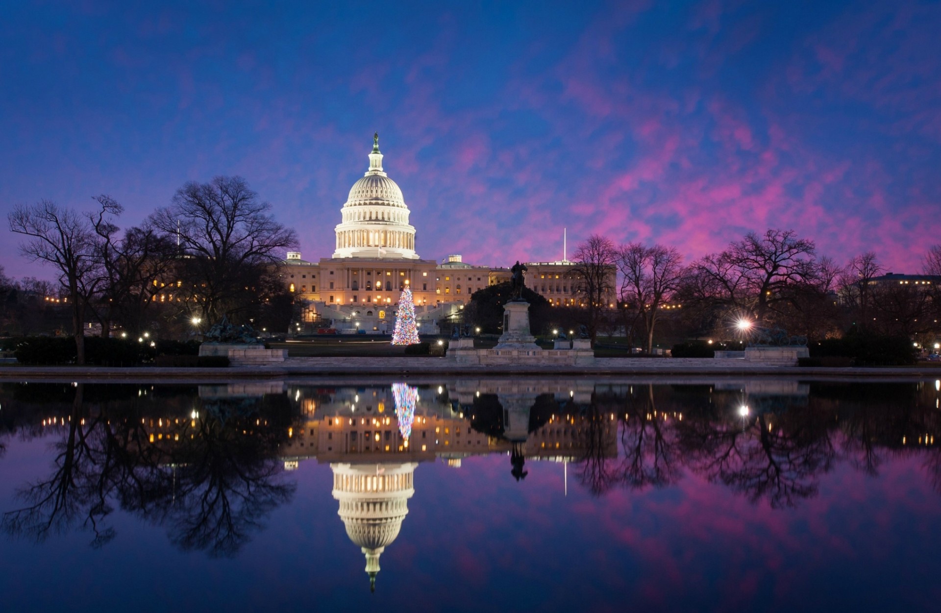 weihnachtsbaum lichter washington teich reflexion bäume kapitol wasser park beleuchtung usa winter licht