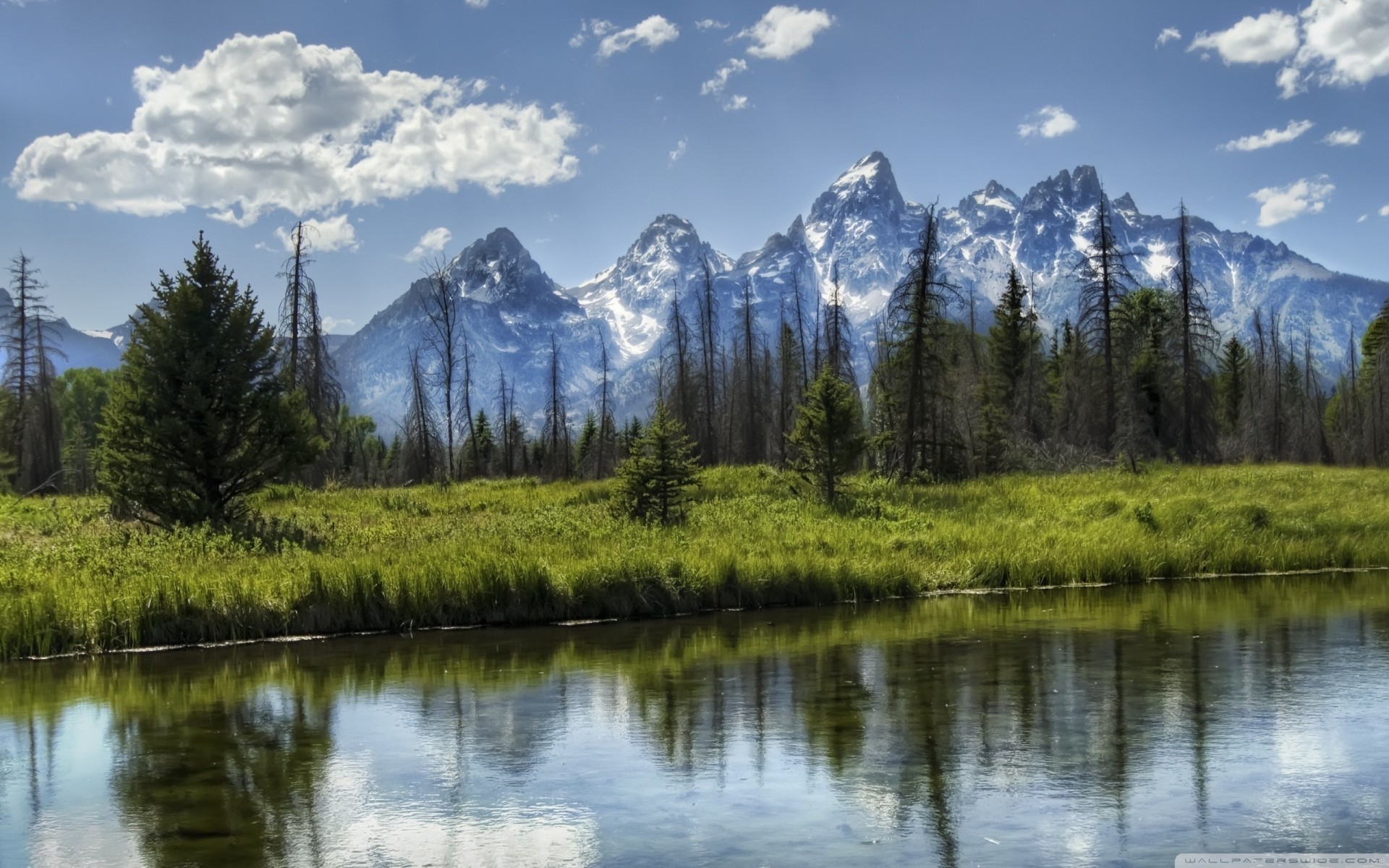 natura góry park wyoming palmy las rzeka chmury