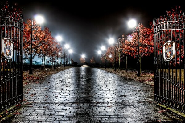 Rainy autumn night in England