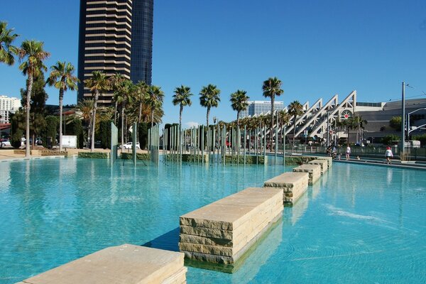 Fuente de California y playa con palmeras