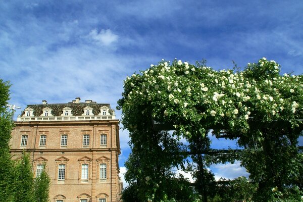 Italienischer Palast mit schicken Rosen