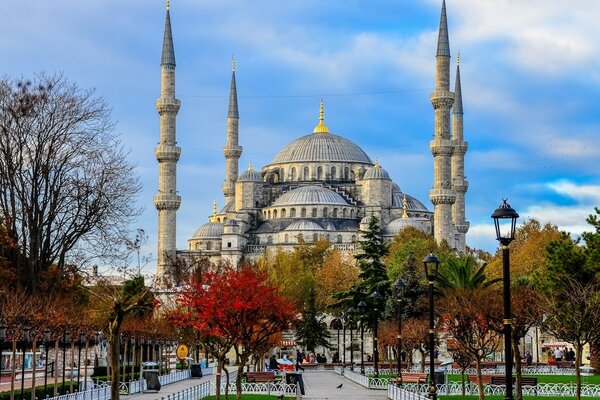 Taube Moschee vor dem Hintergrund der Bäume in Istanbul