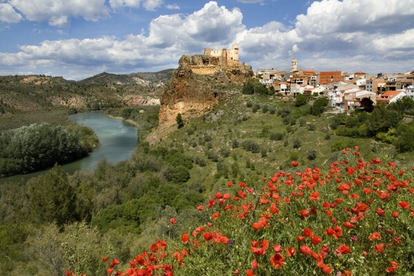 Poppy field in the village of Valencia