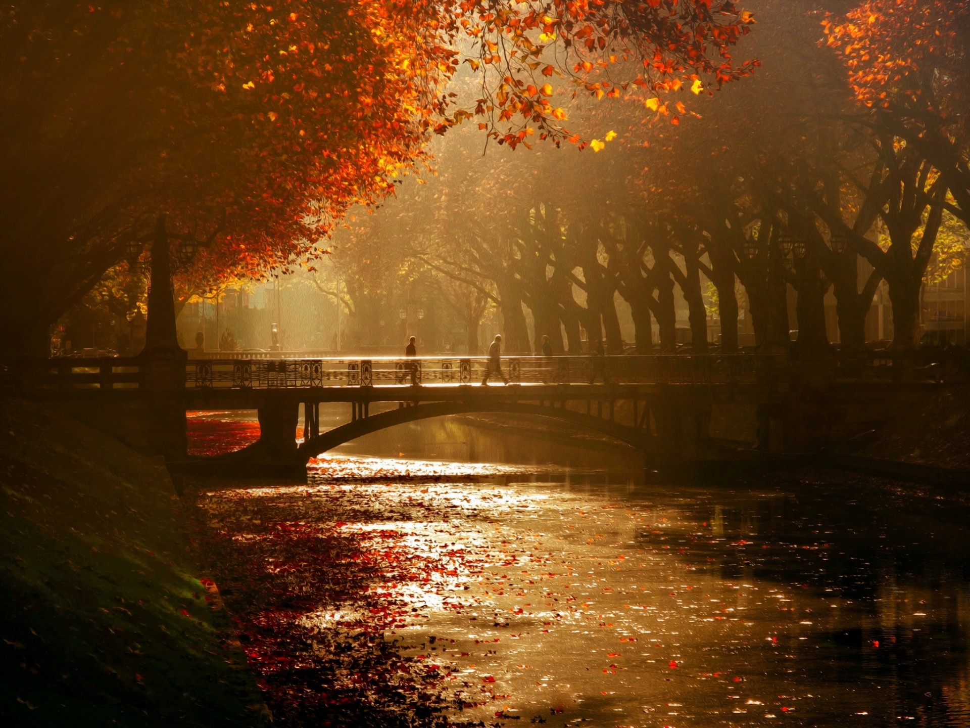 viale reale ponte düsseldorf