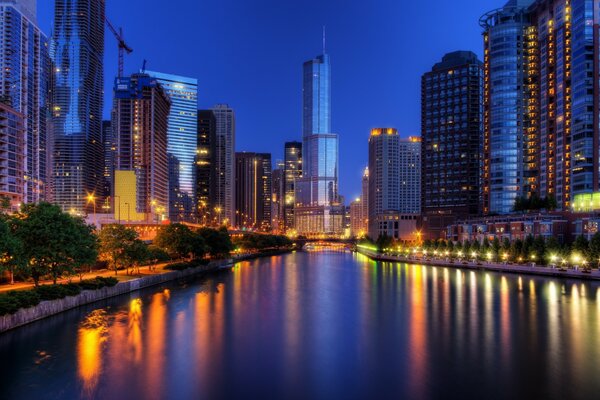Edificios altos de la noche de Chicago