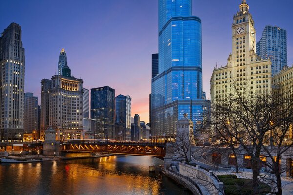 Vue du parc de Chicago par une nuit d hiver