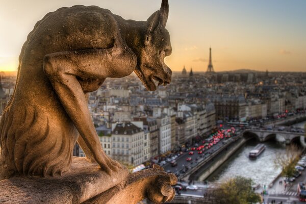 Notre Dame de Paris rzeźba gargulca