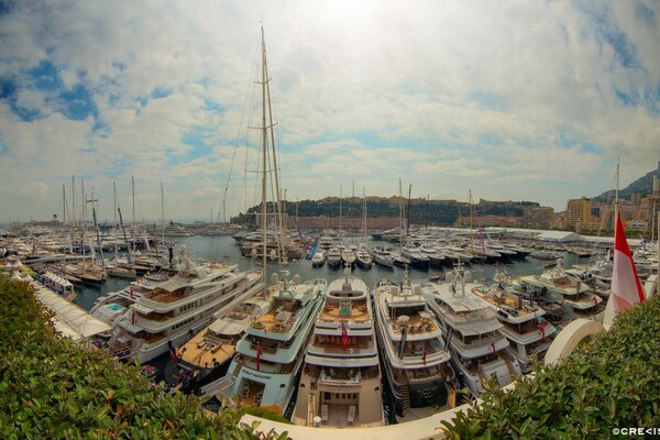 Harbor with yachts on a sunny day