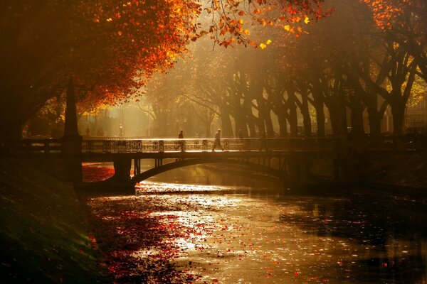 Düsseldorfer Brücke im Herbst