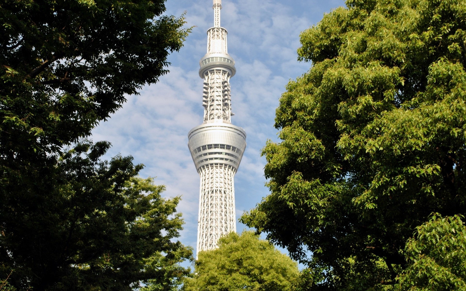 station bäume tokio himmel japan turm