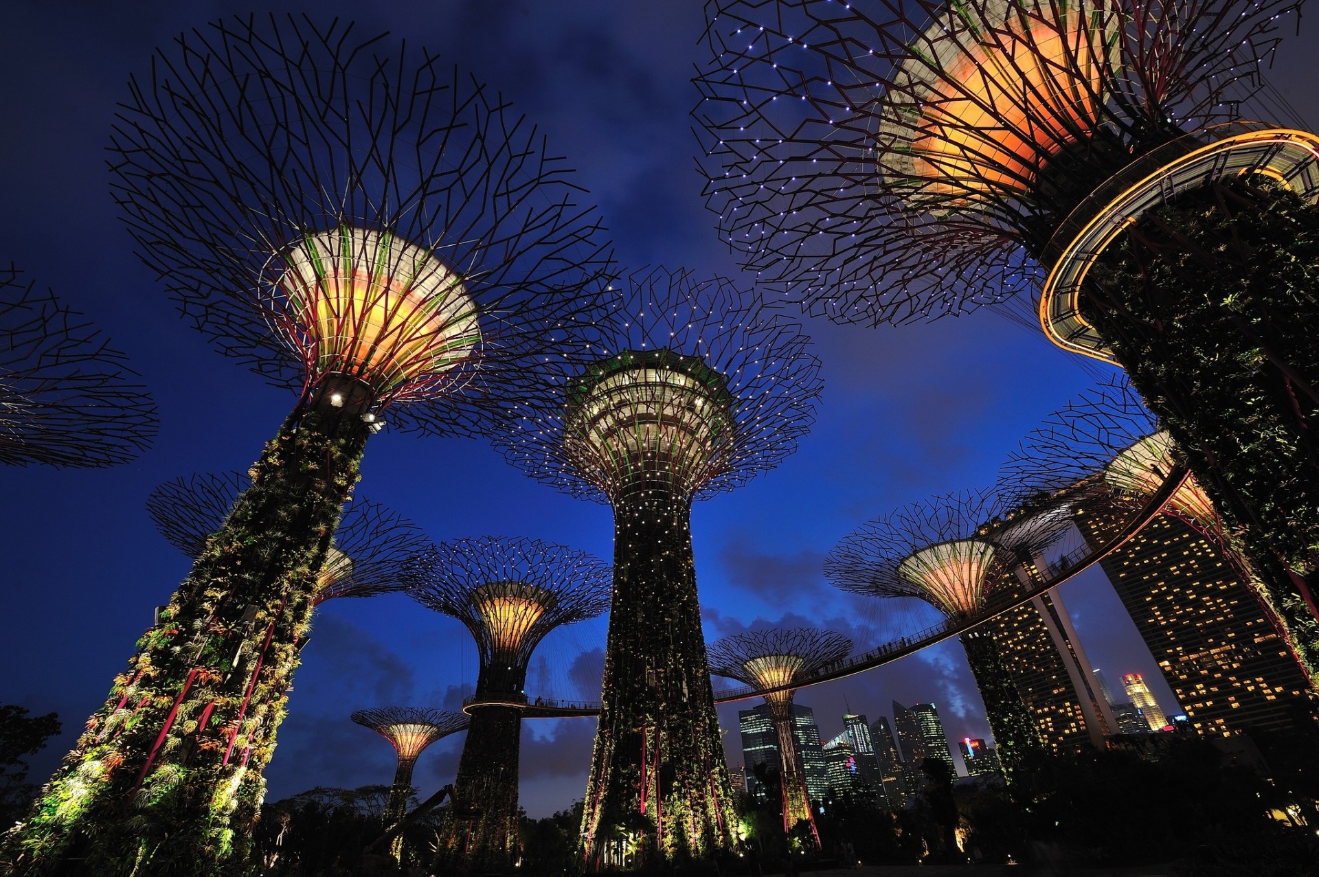 luces parque iluminación noche singapur