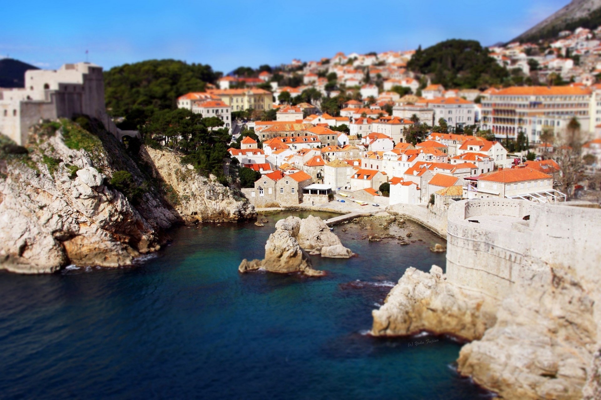 maisons ville côte croatie arbres toit mer rochers vladivostok