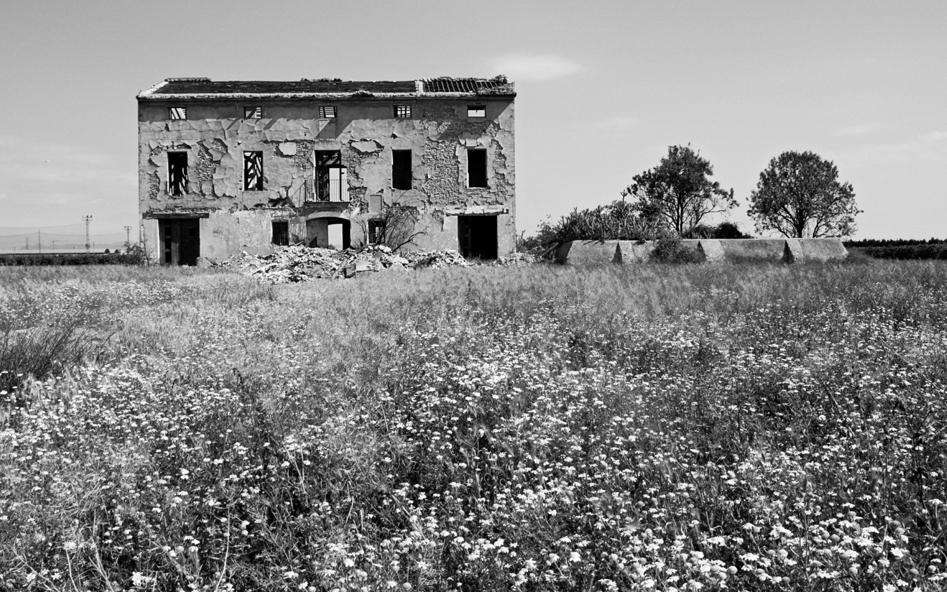 noir et blanc maison