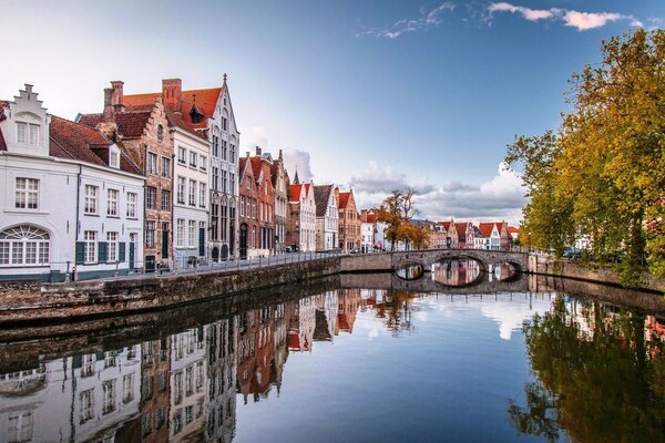 Houses on the river bank. a Belgian city. stone bridge