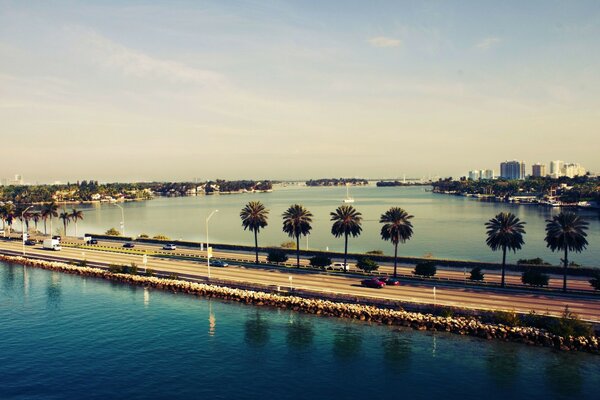 Tramonto a Miami con le palme