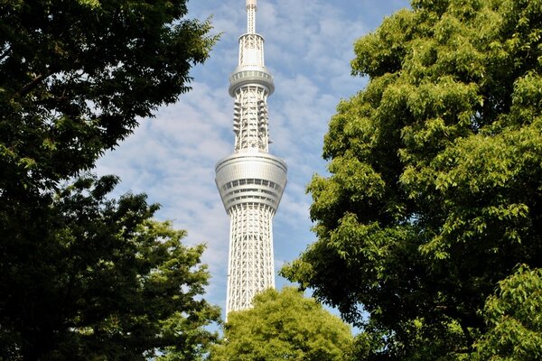 Japońska Wieża wśród drzew