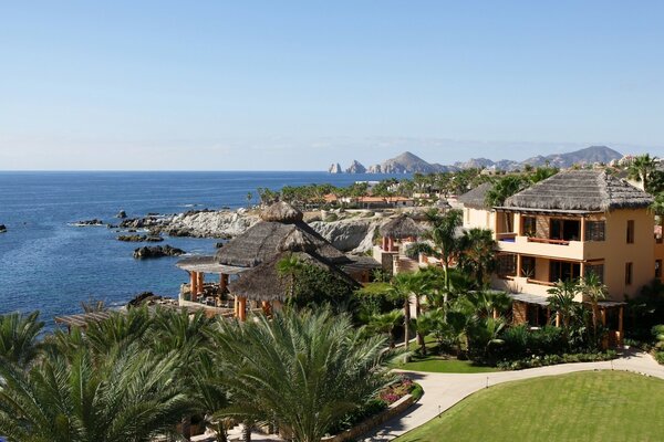 Sunny vacation by the sea with palm trees