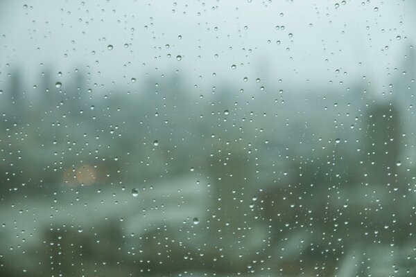 Raindrops on the glass