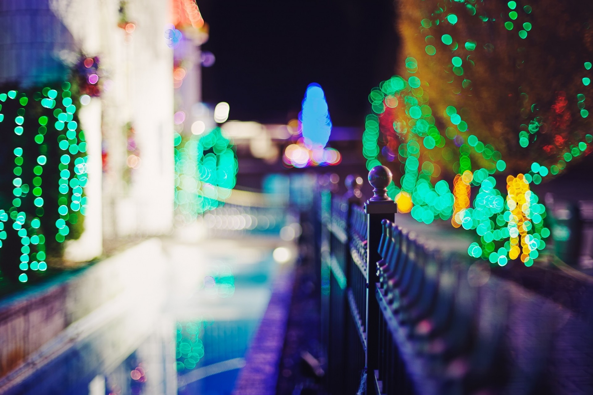 lights night tree fence town pavement