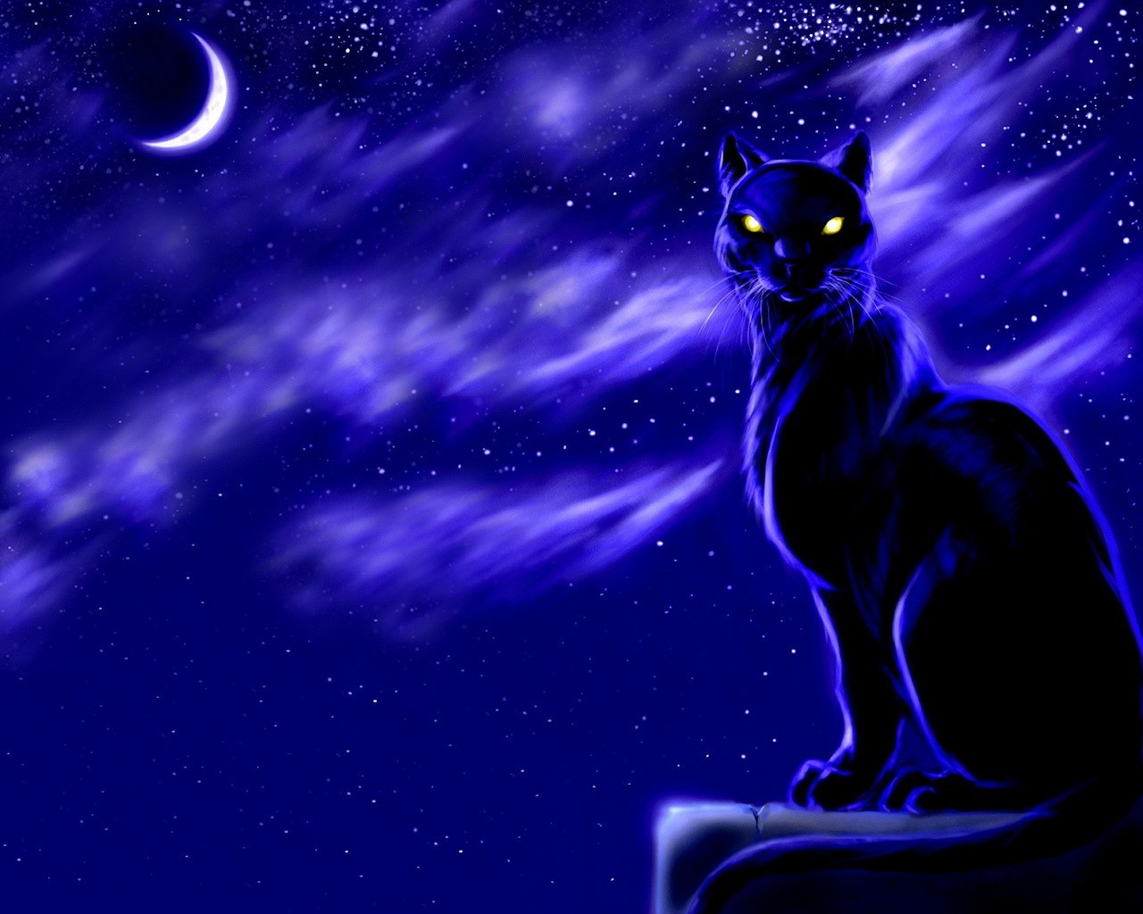 dessin nuit lune chat