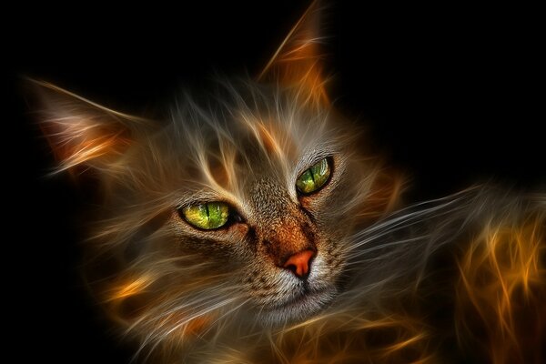 Fiery red cat on a black background