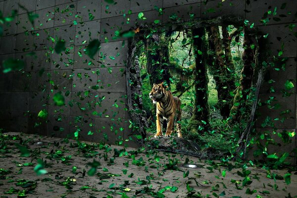 Tiger, der aus einem Loch in der Wand mit fliegenden Blättern schaut