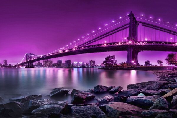 The beautiful lights of the bridge are reflected in the water