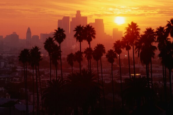 Chaleur insupportable à Los Angeles au coucher du soleil