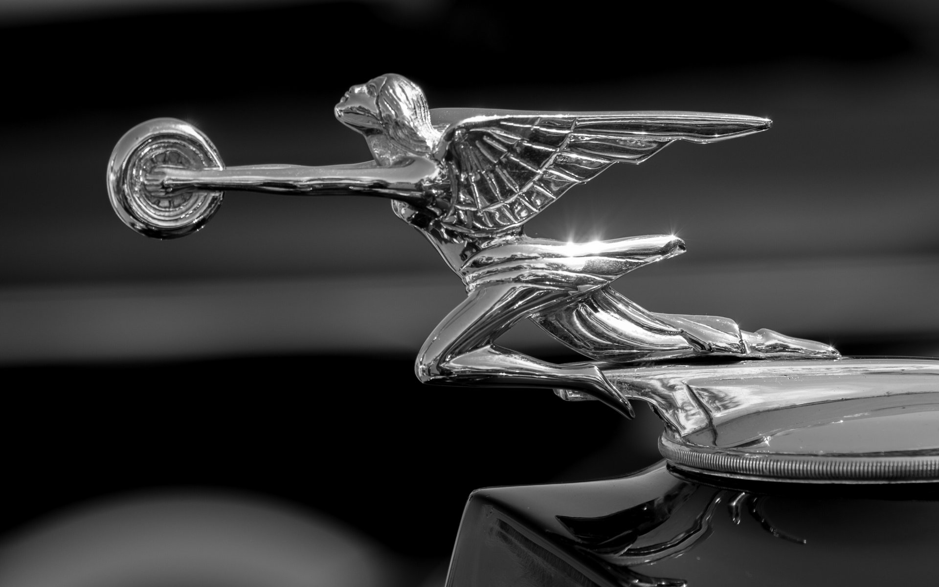 packard diosa de la velocidad packard hood ornamento campana icono monocromo macro