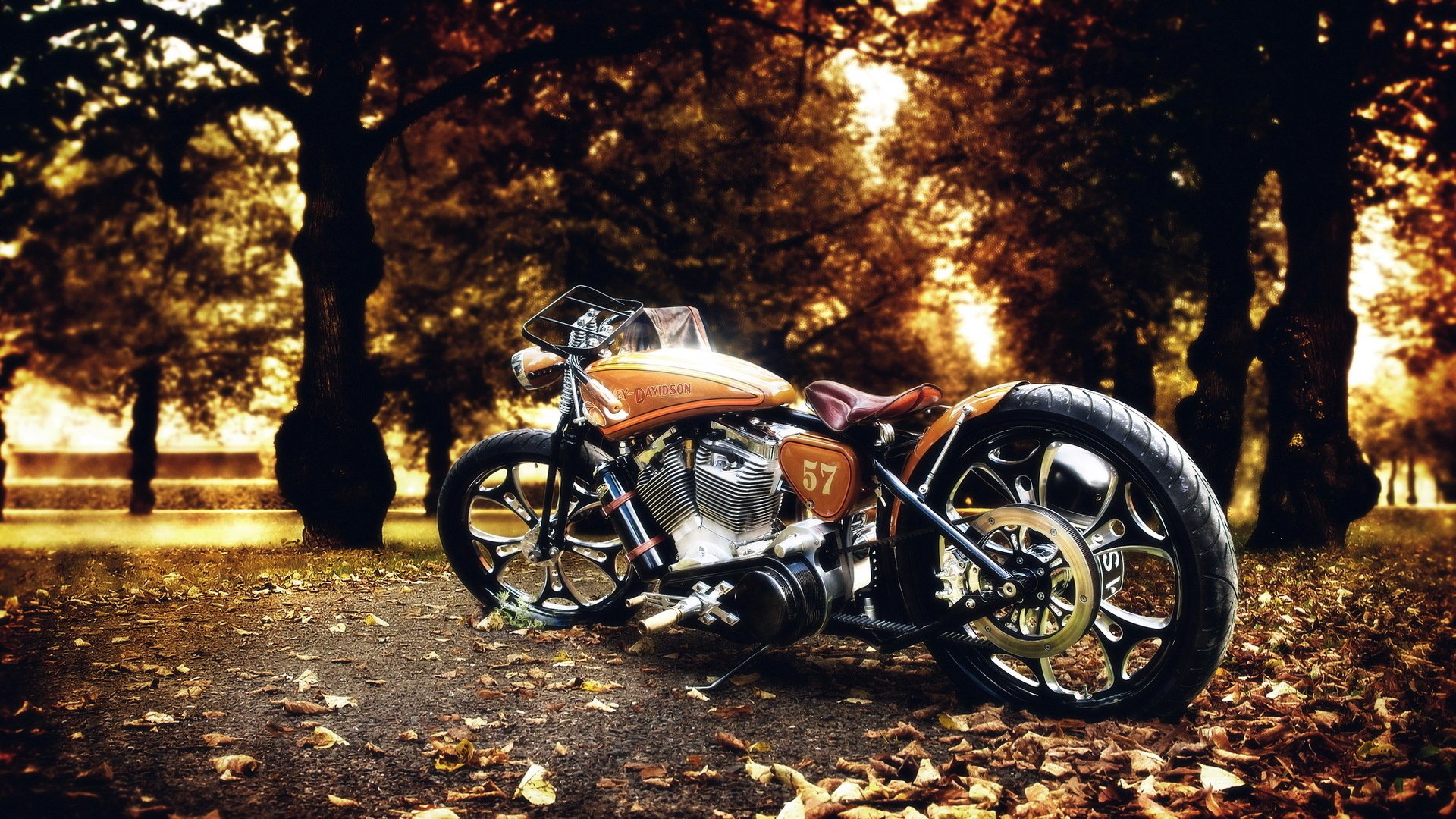 harley davidson fahrrad natur herbst foto park blätter bäume