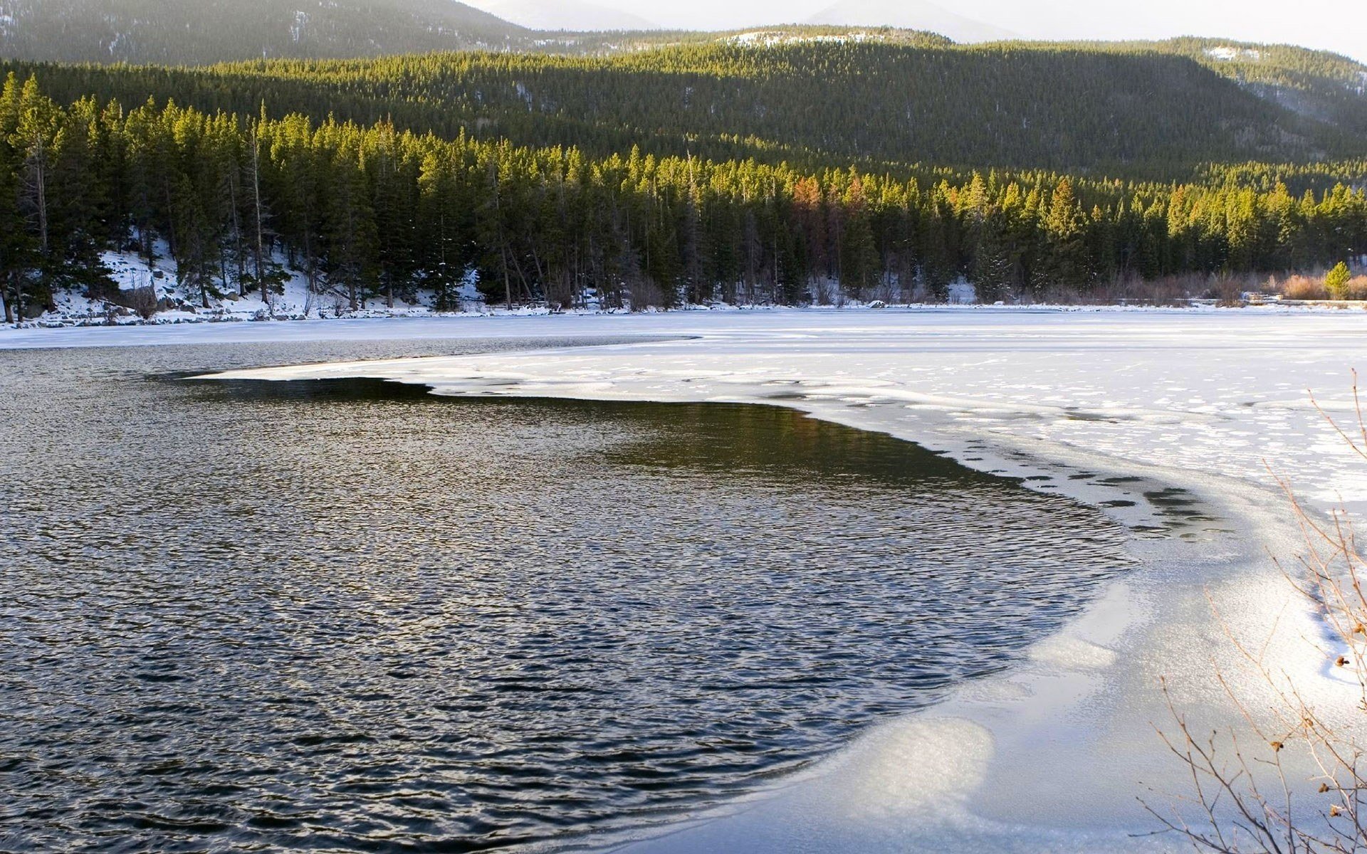 ice-cold edge the end of winter the green tops of the trees lake sunlight snow forest water mountains winter river