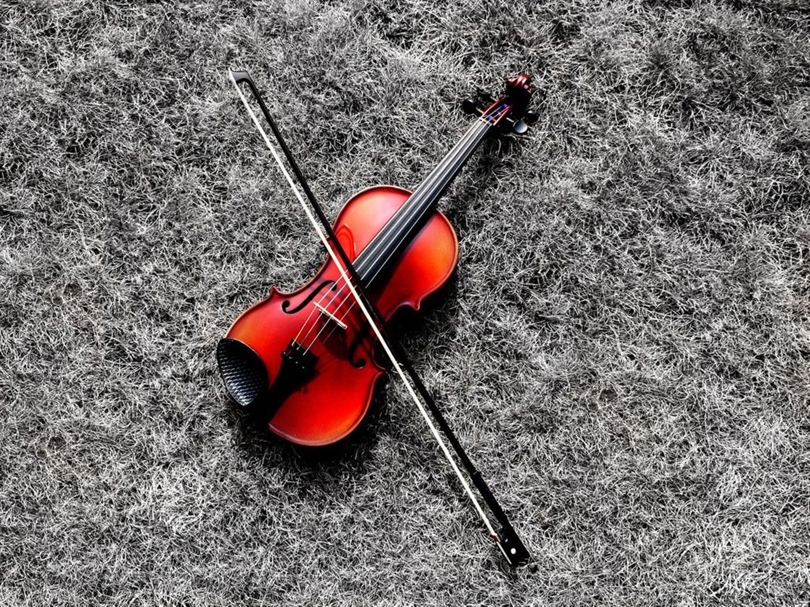 violino rosso erba