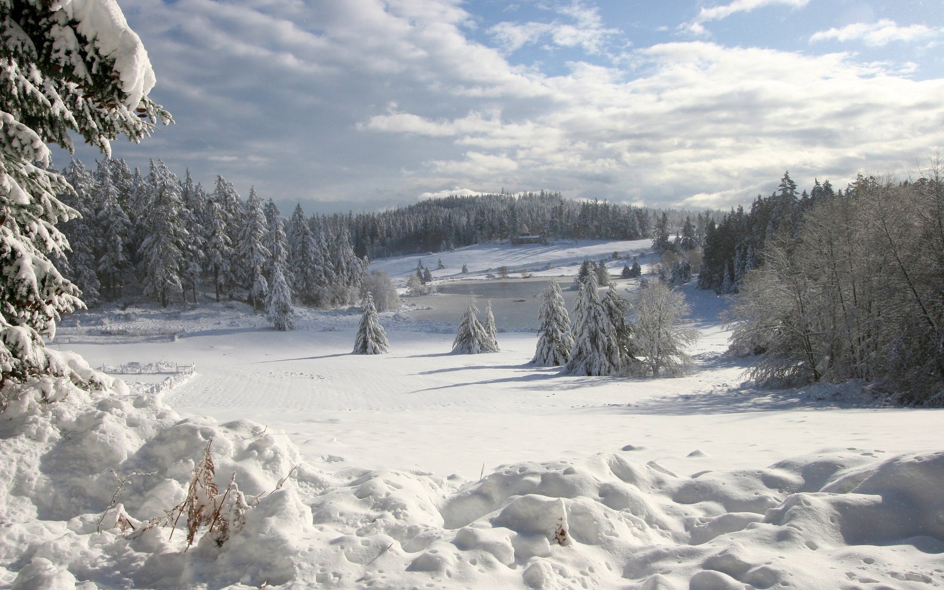 mitten im winter schneeverwehungen waldrand wald schnee winter berge