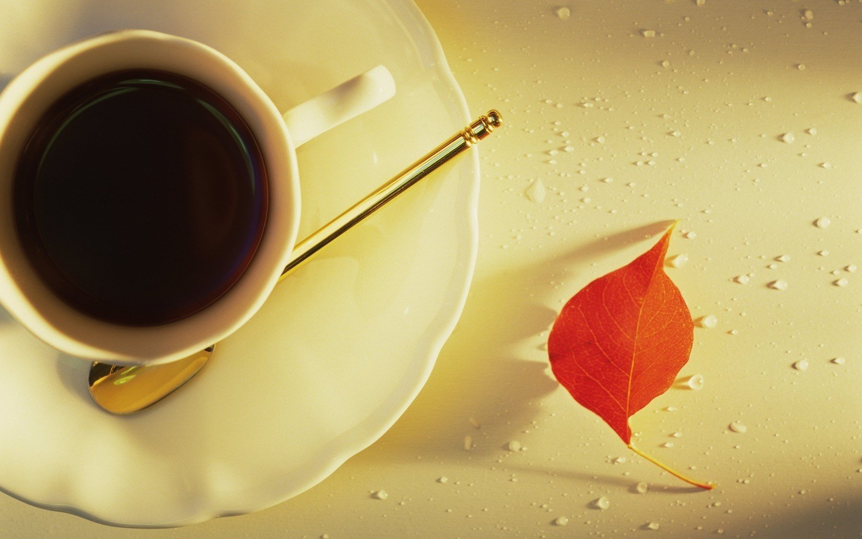 hoja roja temprano en la mañana comida café espresso taza gotas composición taza de café taza de té bebidas