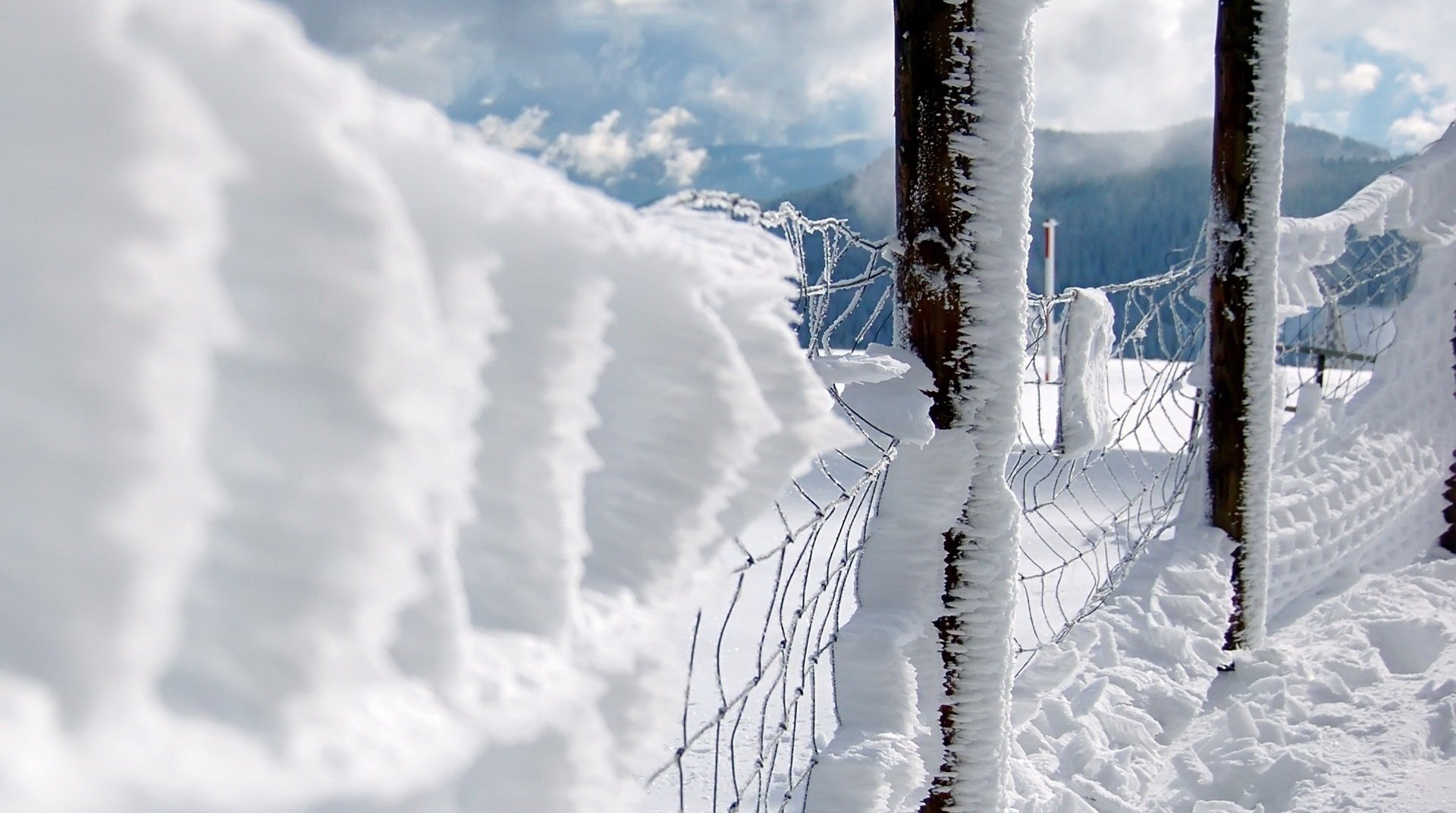 recinzione di neve nella neve belle montagne pilastri neve inverno recinzione pulito freddo gelo dal maglia nebbia nuvole cielo