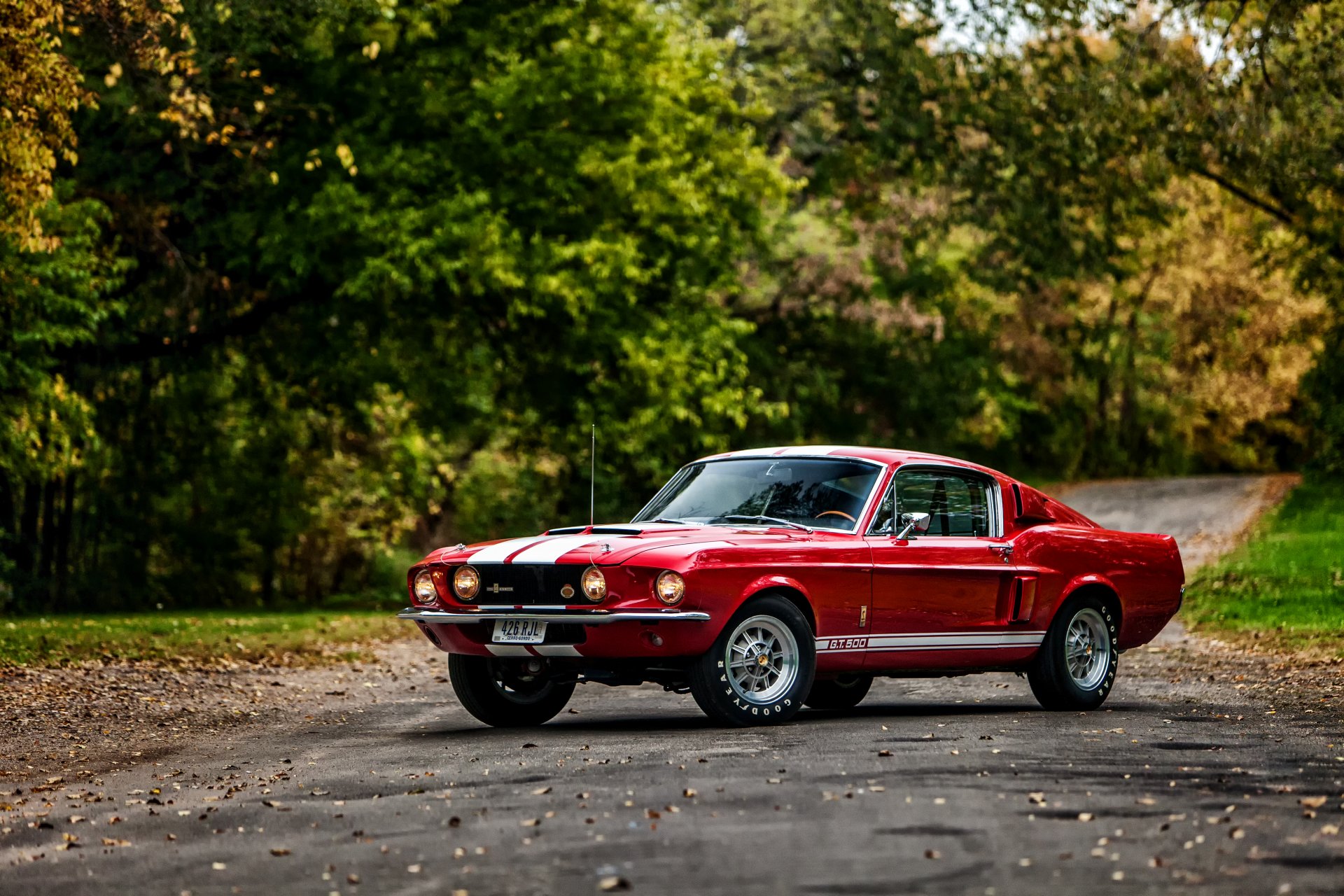 1967 ford shelby gt500 with lemans stripes option